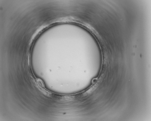 X0000070381224200606301913