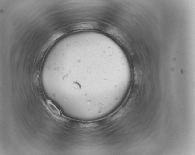 X0000070381225200606301913