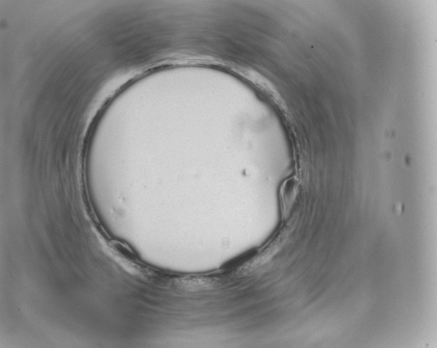 X0000070381231200606301913