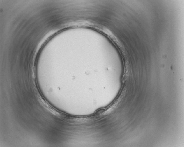 X0000070381232200606301913