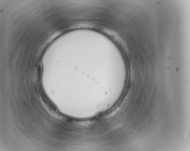 X0000070381233200606301913