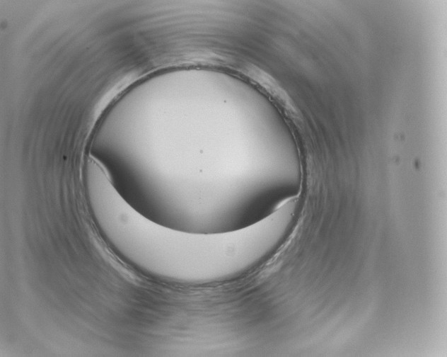 X0000070381234200606301913