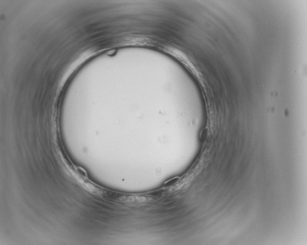 X0000070381235200606301913