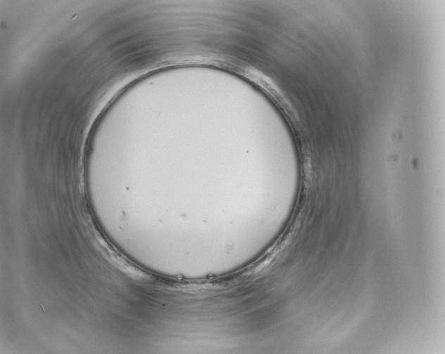 X0000070381236200606301913