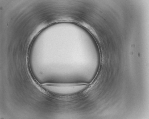 X0000070381237200606301913