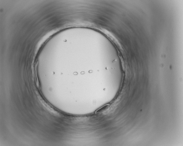 X0000070381238200606301913