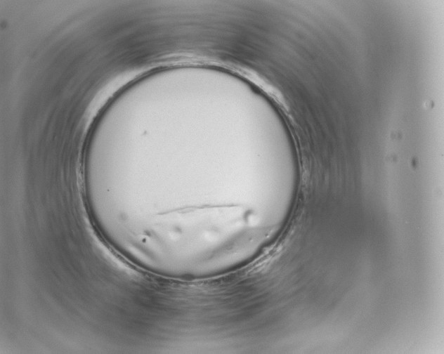 X0000070381239200606301913