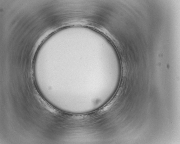 X0000070381240200606301913