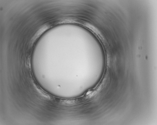 X0000070381241200606301913