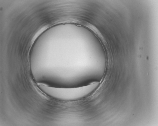 X0000070381242200606301913