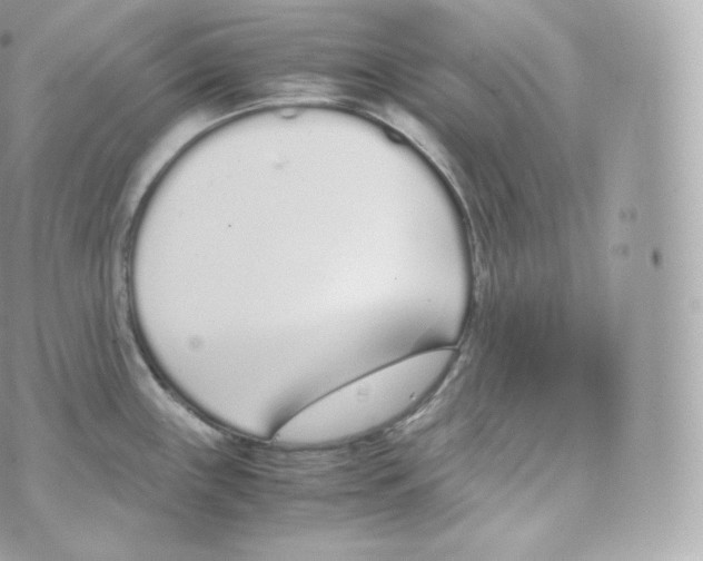 X0000070381243200606301913