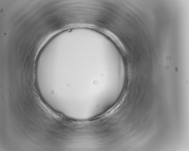 X0000070381244200606301913