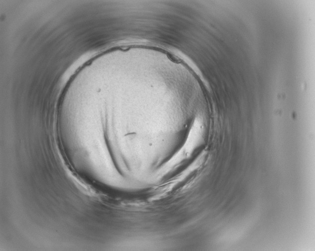 X0000070381245200606301913