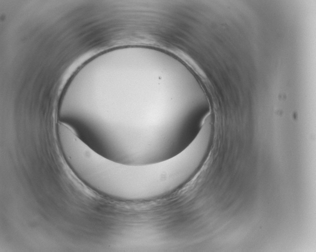 X0000070381246200606301913