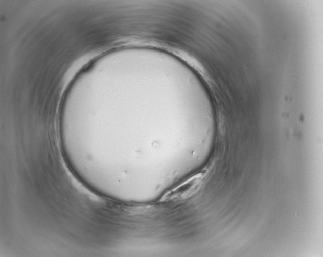 X0000070381247200606301913