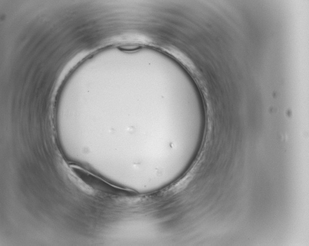 X0000070381248200606301913