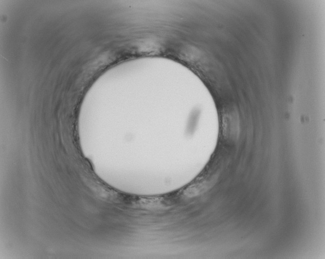 X0000070381249200606301912