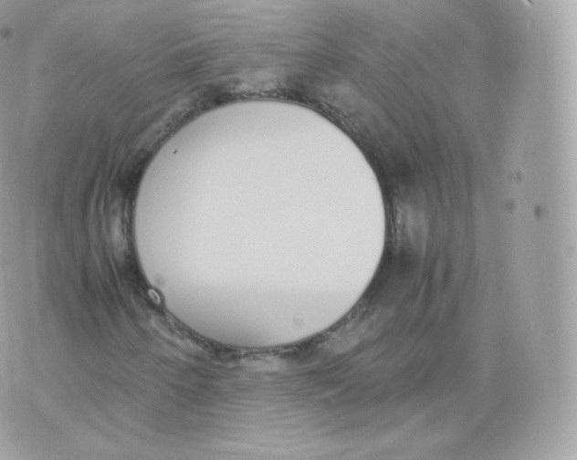 X0000070381250200606301912