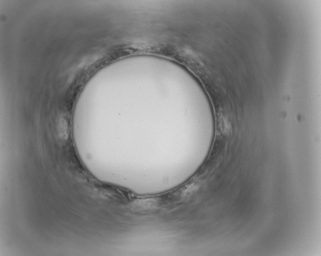 X0000070381253200606301912