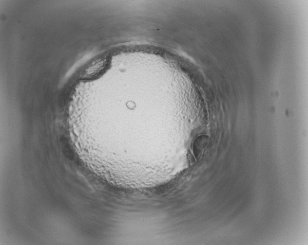 X0000070381255200606301912