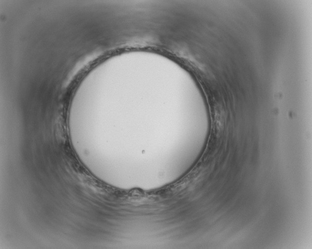 X0000070381256200606301912