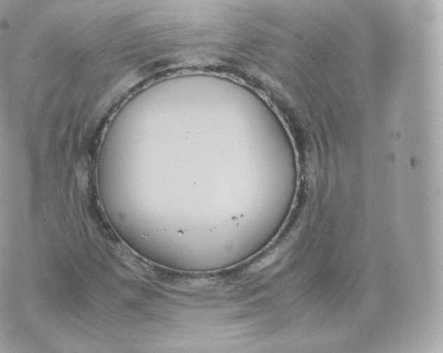 X0000070381257200606301912