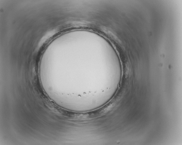 X0000070381261200606301912