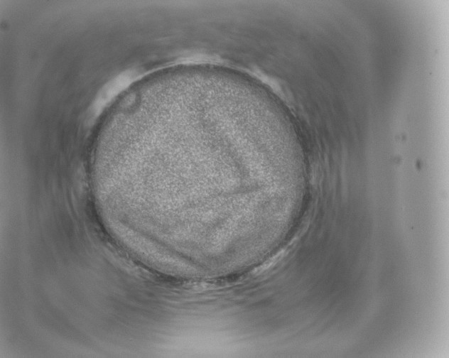 X0000070381263200606301912