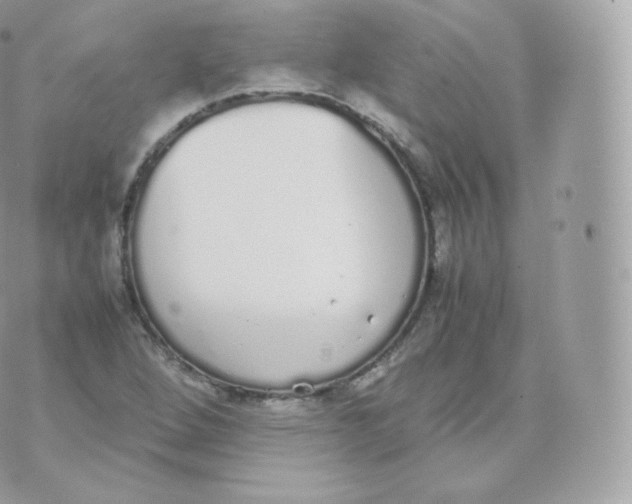 X0000070381264200606301912