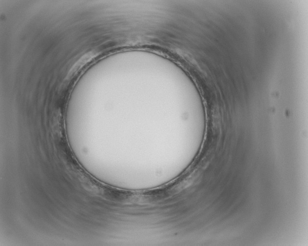 X0000070381265200606301912