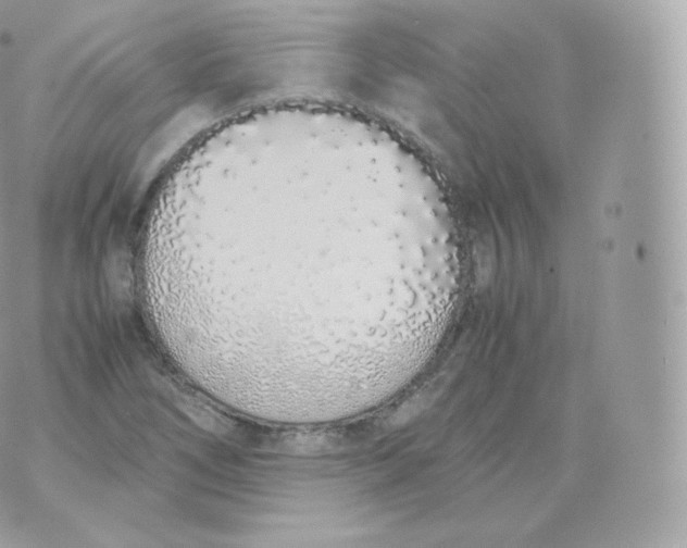 X0000070381266200606301912