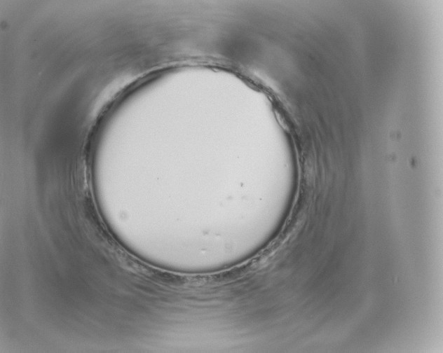 X0000070381267200606301912