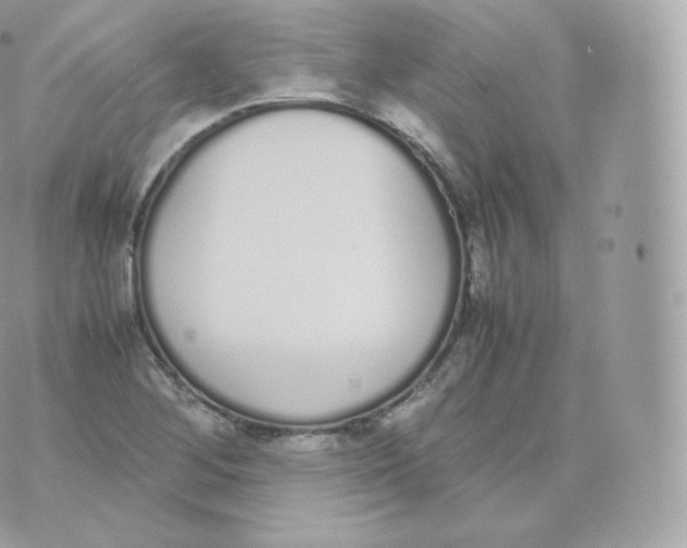 X0000070381268200606301912