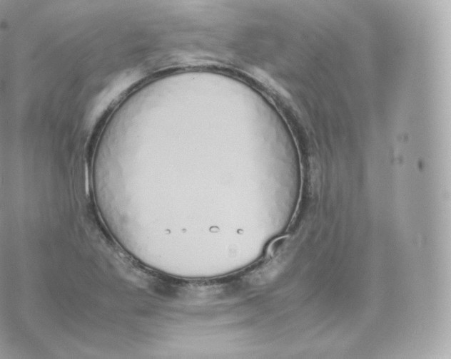 X0000070381269200606301912