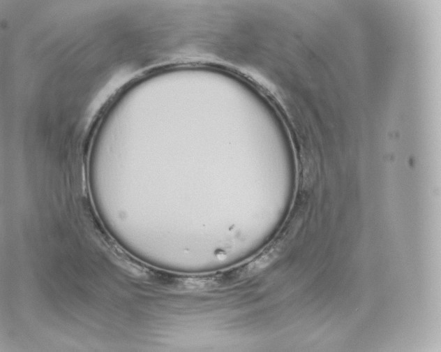 X0000070381271200606301912