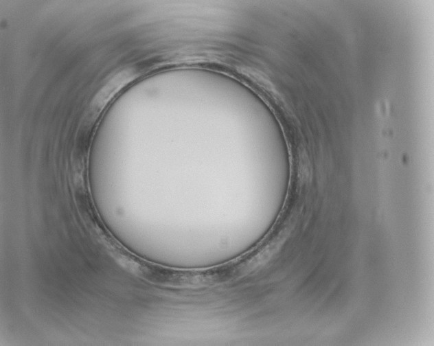 X0000070381273200606301912