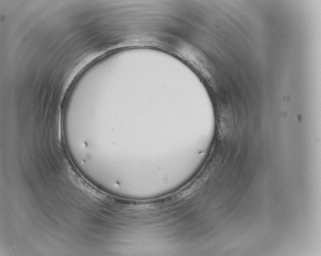 X0000070381276200606301912