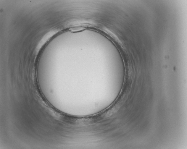 X0000070381277200606301912