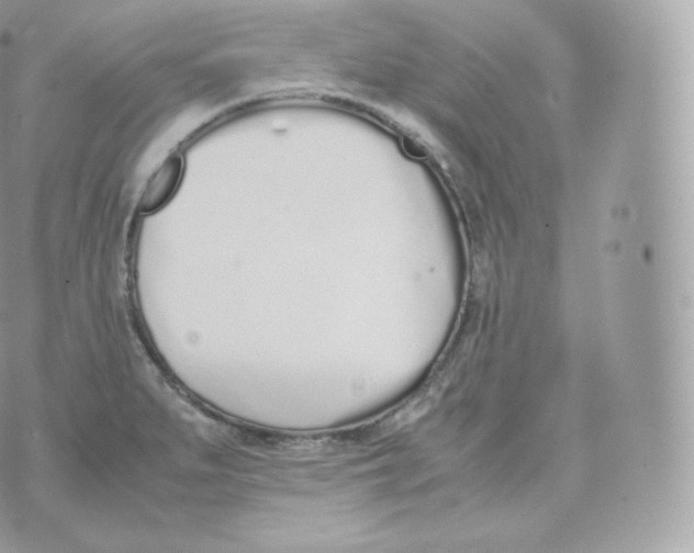 X0000070381279200606301912