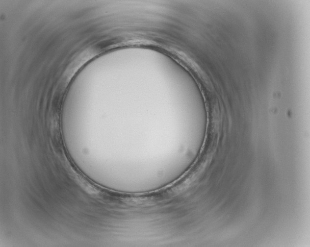 X0000070381281200606301912