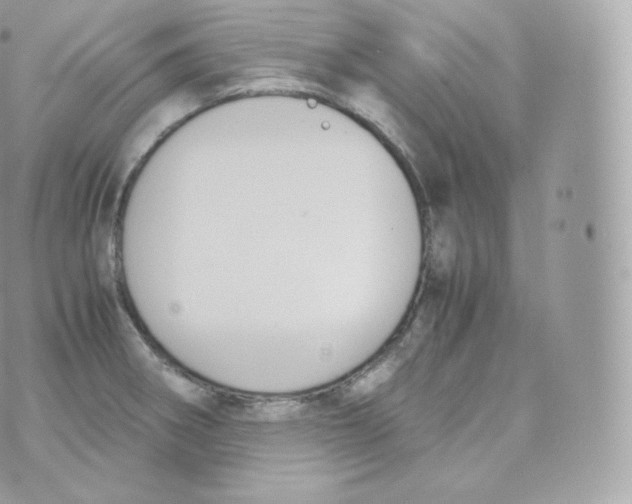 X0000070381282200606301912