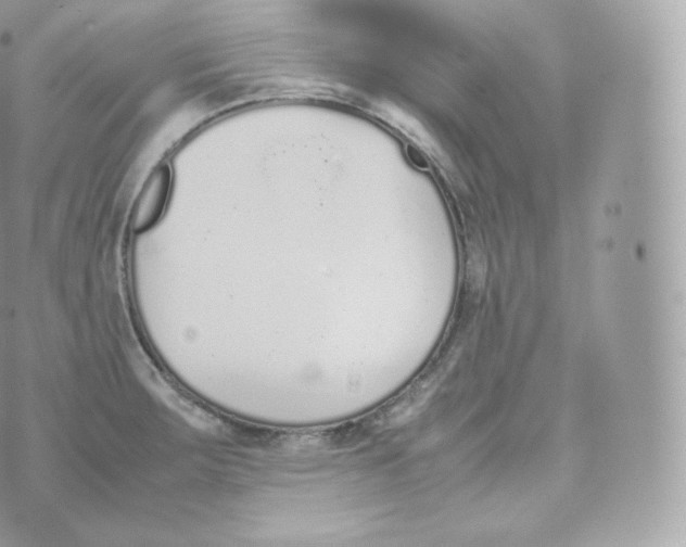 X0000070381283200606301912