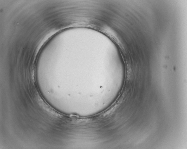 X0000070381284200606301912