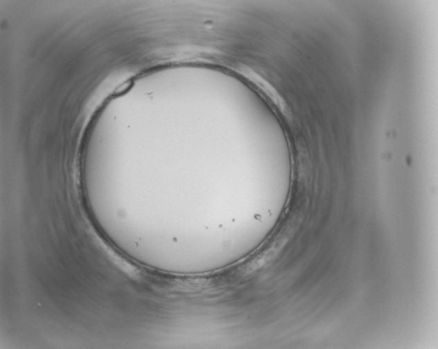 X0000070381285200606301912