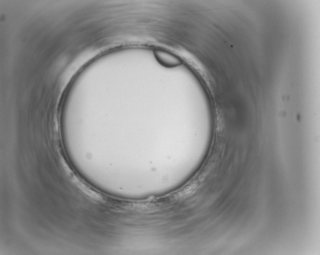 X0000070381287200606301912