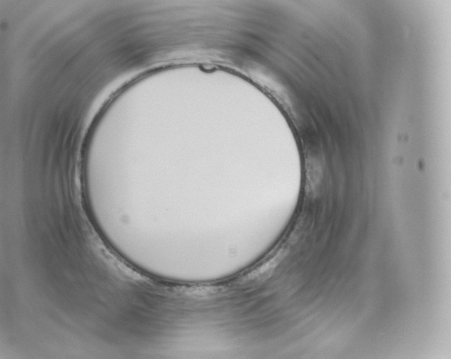 X0000070381288200606301912