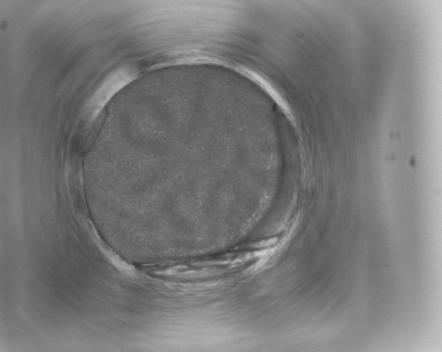 X0000070381289200606301912