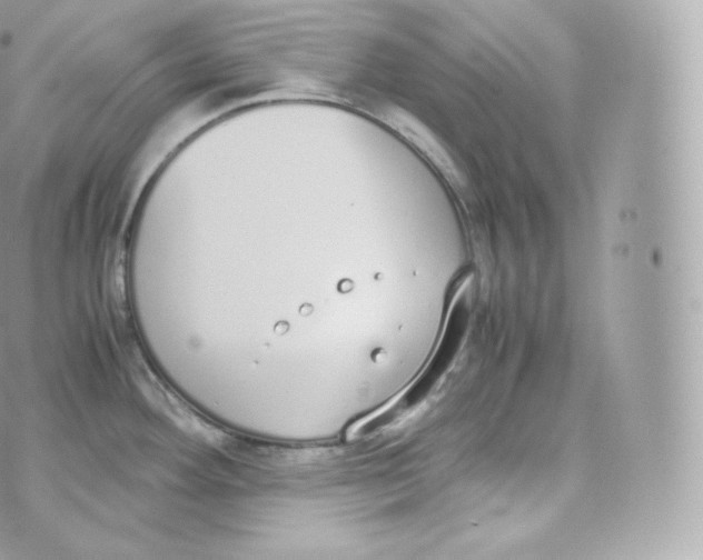 X0000070381292200606301912