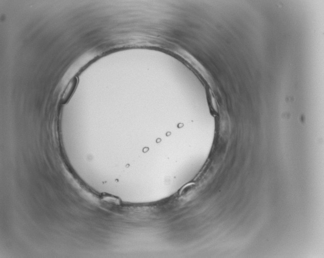 X0000070381293200606301912