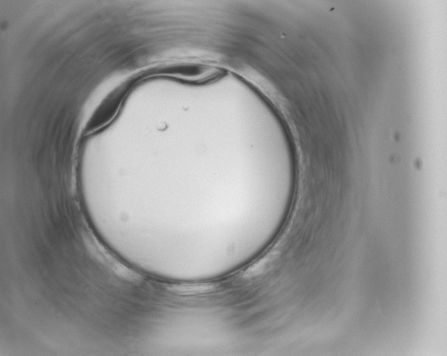 X0000070381296200606301912